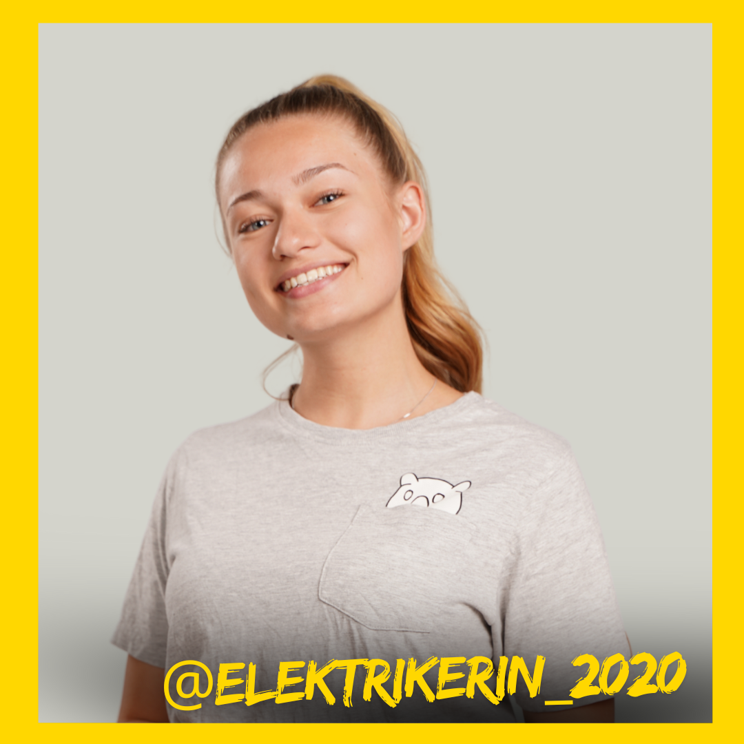 Elektrikerin 2020