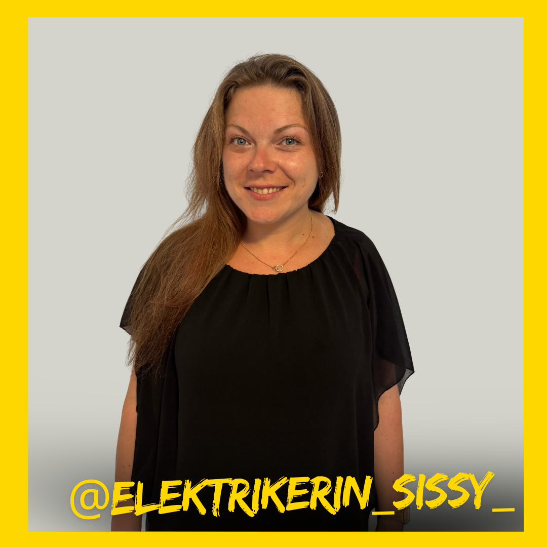 Elektrikerinsissy
