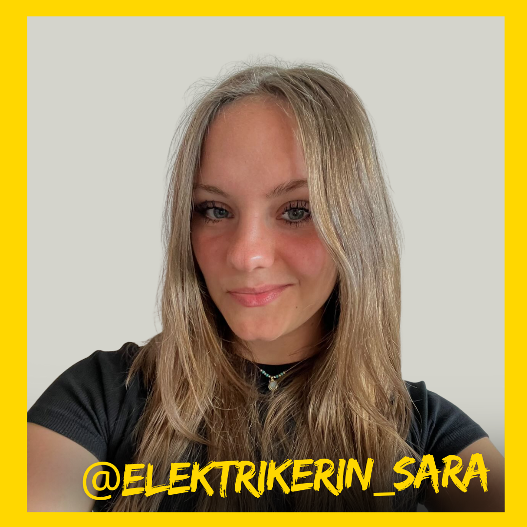Elektrikerin sara